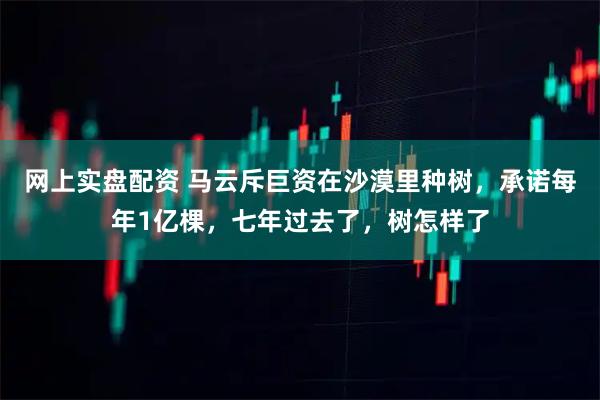 网上实盘配资 马云斥巨资在沙漠里种树，承诺每年1亿棵，七年过去了，树怎样了