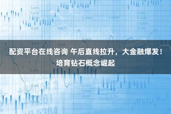 配资平台在线咨询 午后直线拉升，大金融爆发！培育钻石概念崛起