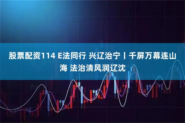 股票配资114 E法同行 兴辽治宁丨千屏万幕连山海 法治清风润辽沈