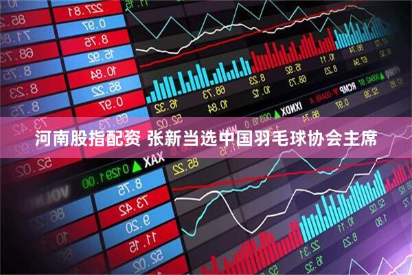 河南股指配资 张新当选中国羽毛球协会主席